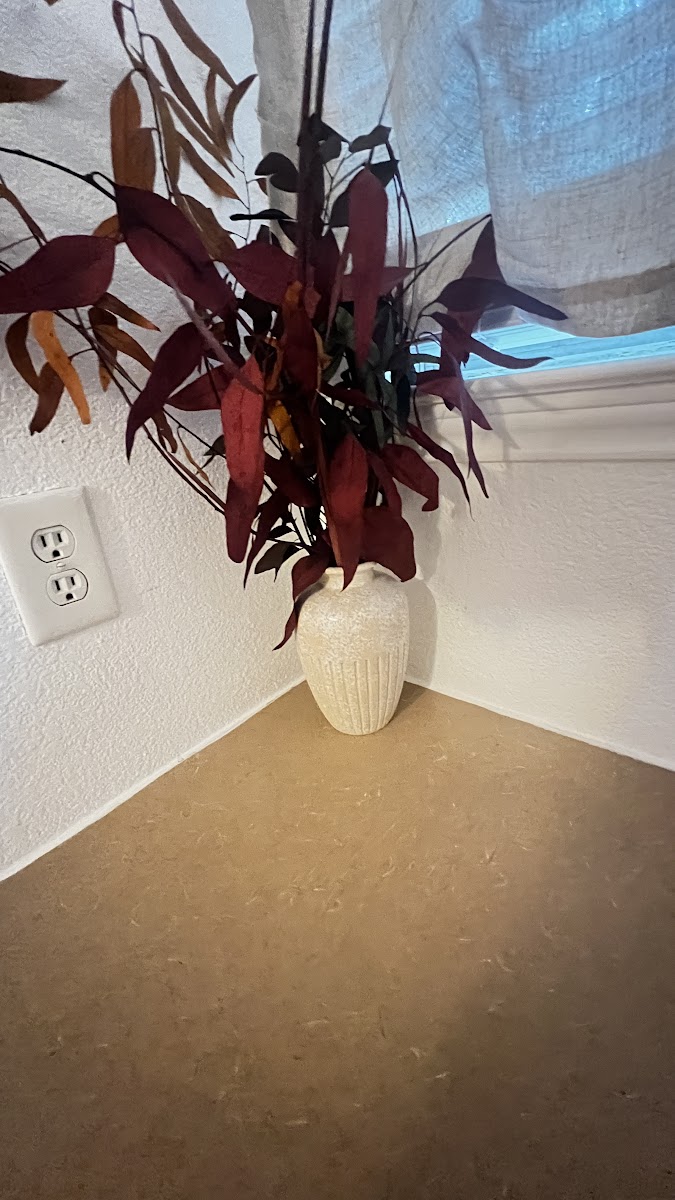 Cream Ribbed Vase with Dried Red Foliage